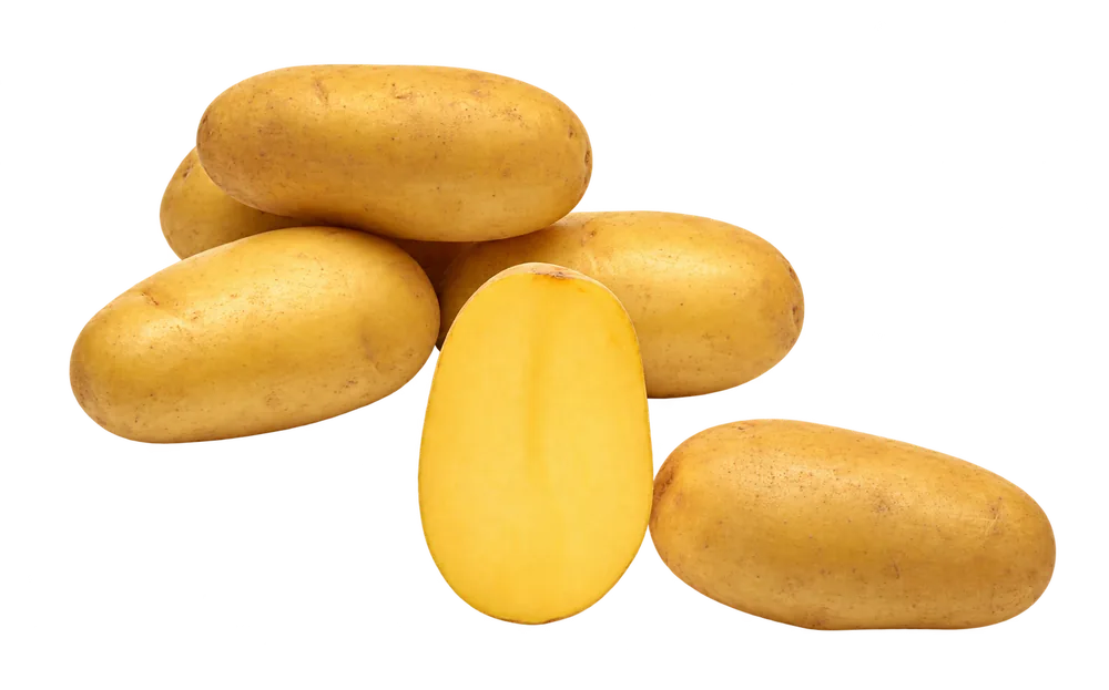 Sunshine potatoes with yellow flesh